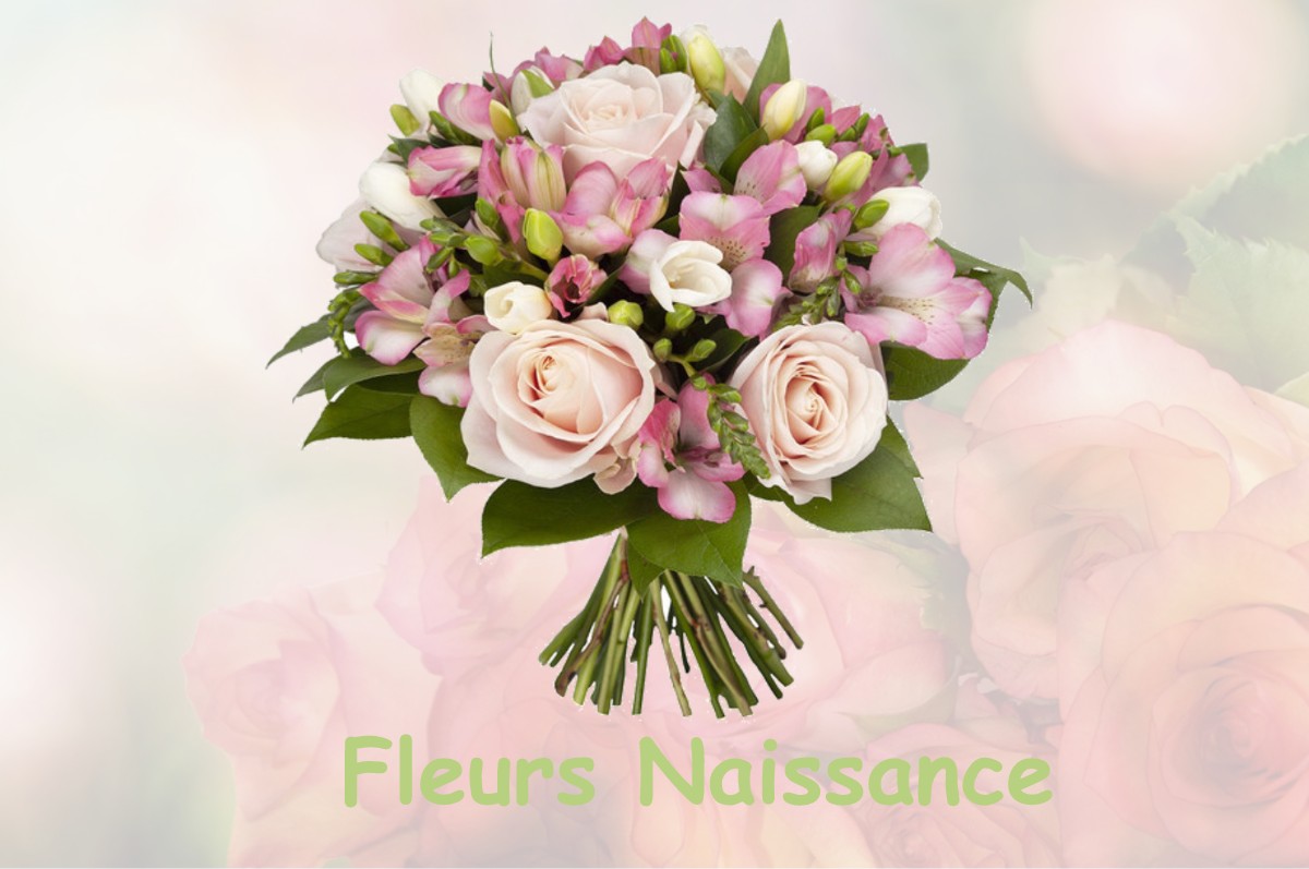 fleurs naissance FONCINE-LE-BAS