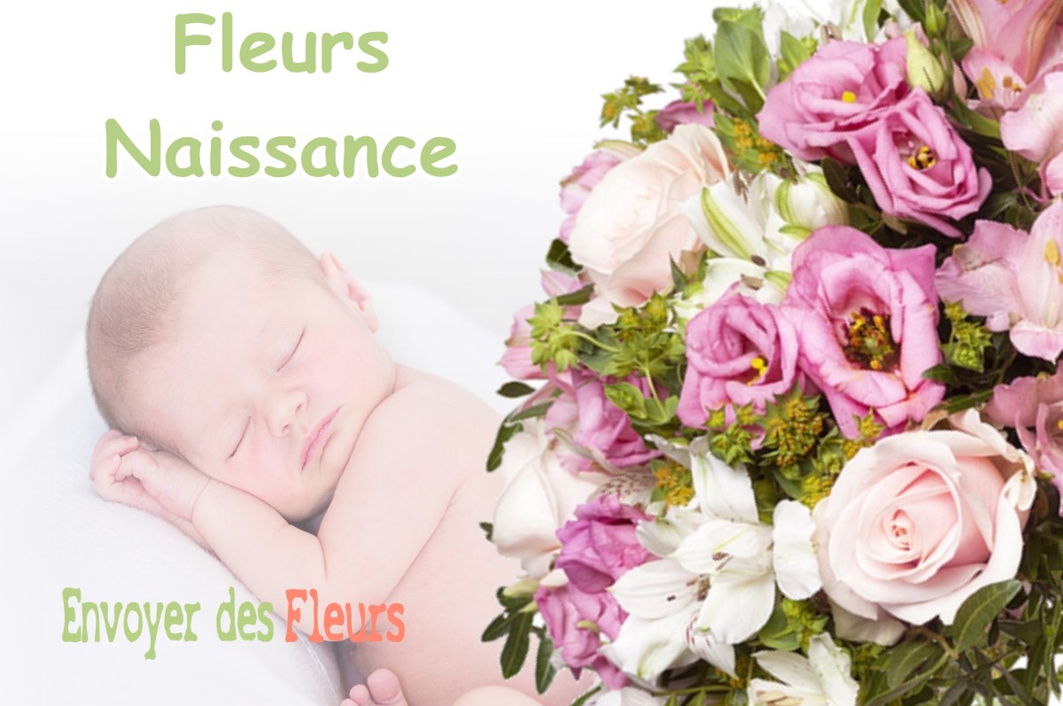 lIVRAISON FLEURS NAISSANCE à FONCINE-LE-BAS